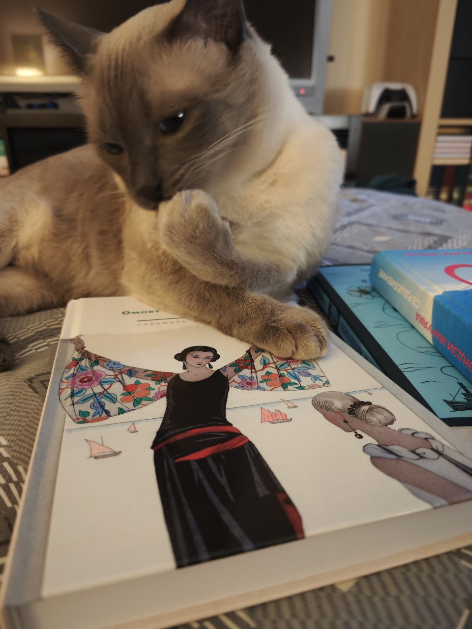 Featured image of post Я хочу "Книгу Джоан" читать, но Мелкий сделал другой выбор 😁