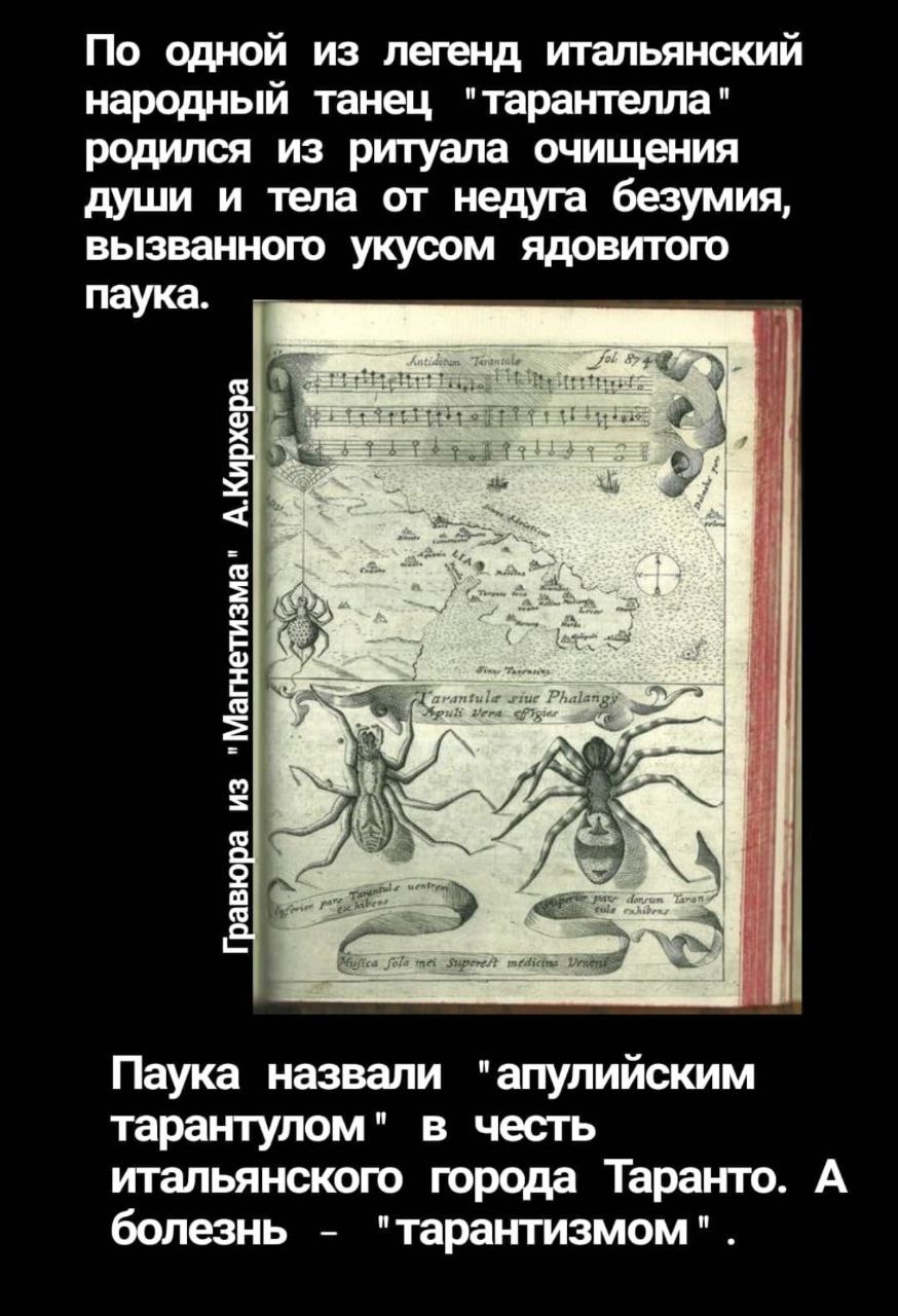 Featured image of post 2026годМузыкигодВолшебства