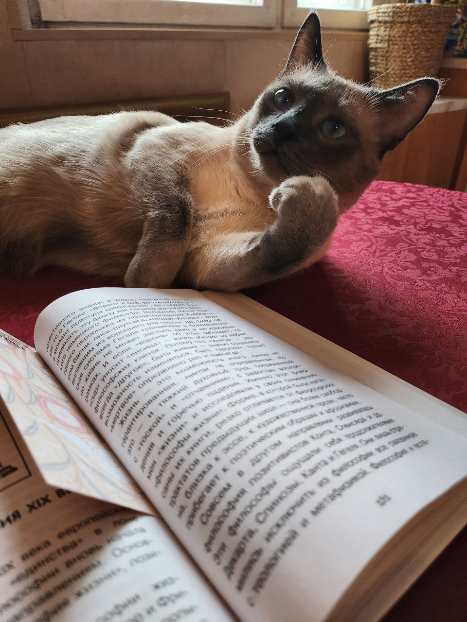 Featured image of post Читай, не отвлекайся!