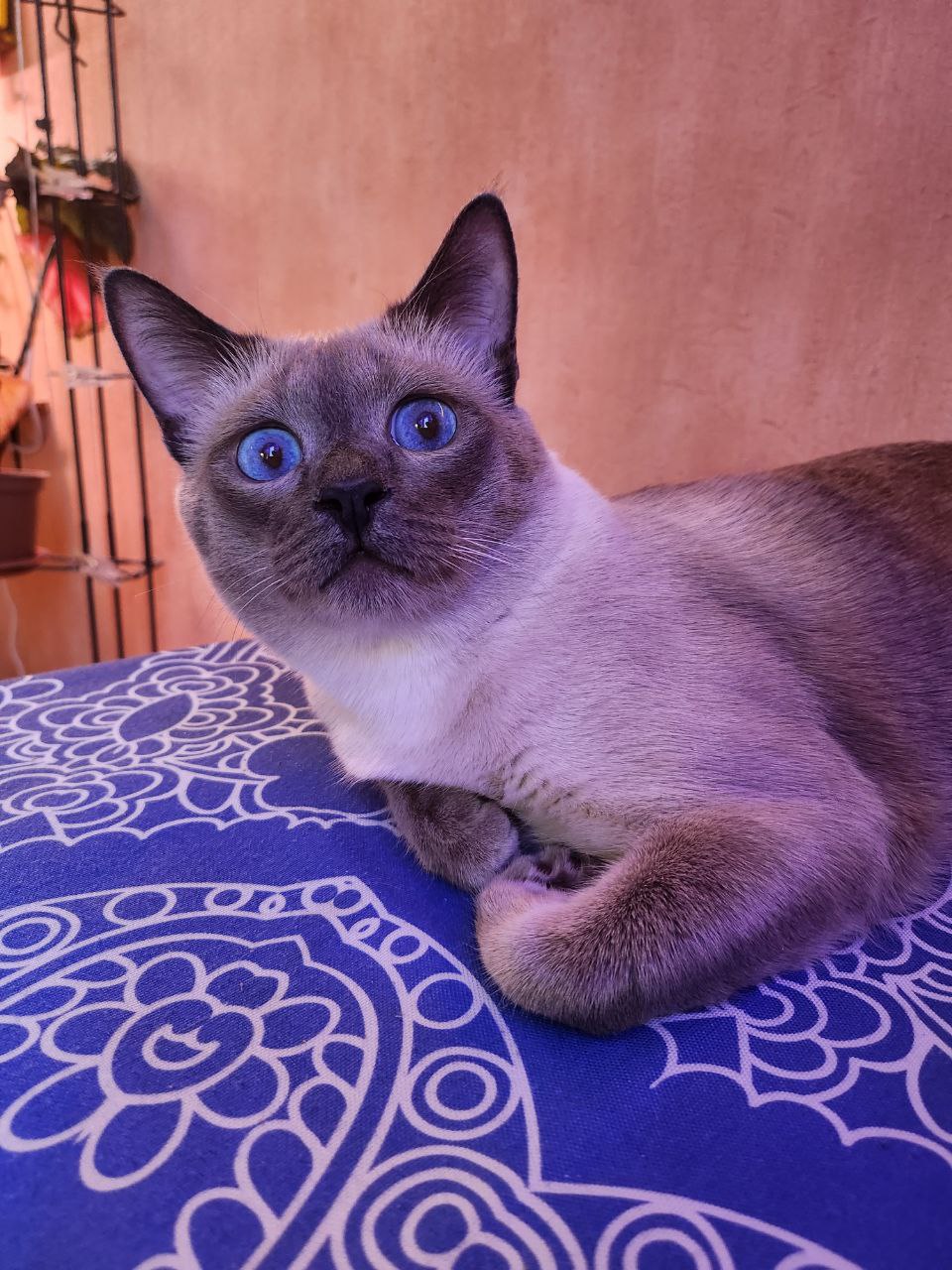 Featured image of post Это я, когда на кухню прибегает муж и кричит: