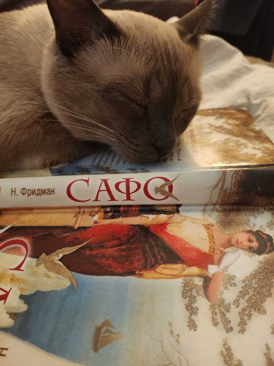 Featured image of post Пока кто-то спит на Сафо, кто-то не читает эту Сафо 😁