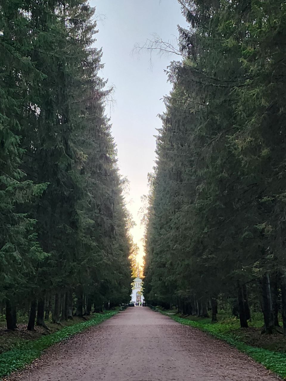 Featured image of post Без названия
