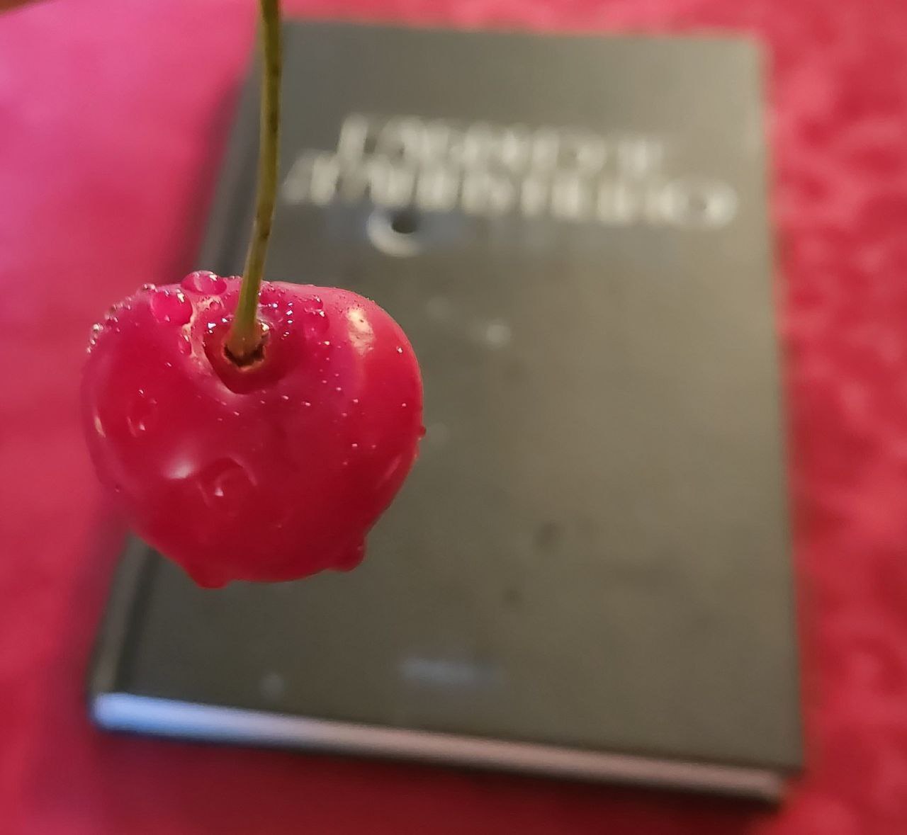 Featured image of post Редкая новинка 😌 потому что сразу попала в читаемое. Красивый текст 🌒