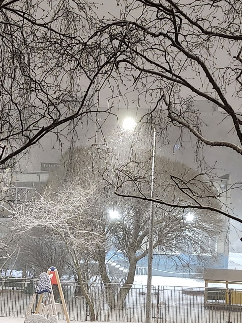 Featured image of post Когда заказала весну, но что-то пошло не так 😅