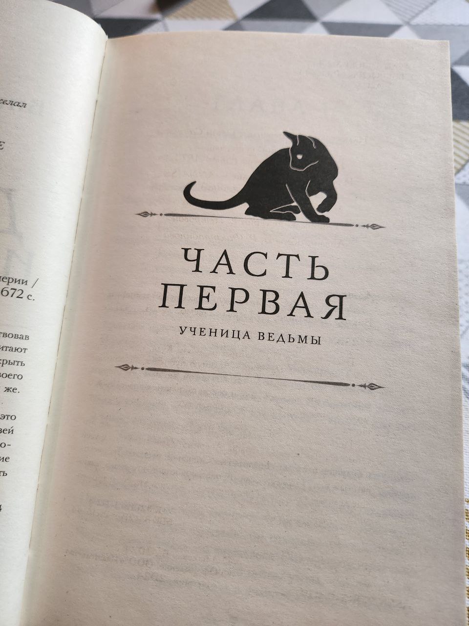 Featured image of post читаюсейчас Демона из Пустоши 🤔