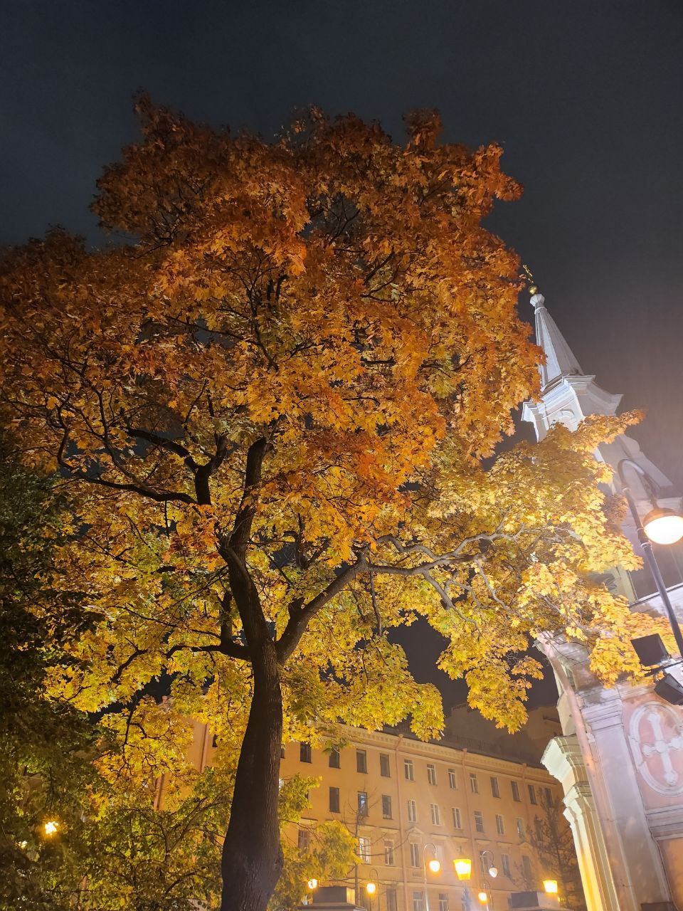 Featured image of post Контрасты улиц Петербурга ❤️🍁